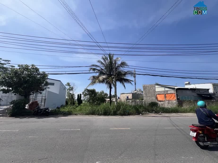 Ảnh [tài Sản Nghỉ Dưỡng] 1.800 M2 Phú Hòa Đông Củ Chi – Chiều Ngang 25M Đẳng Cấp – Sẵn Thổ Cư 0