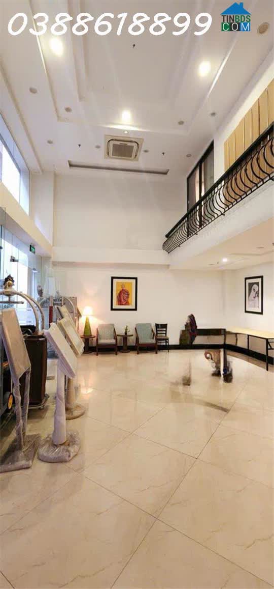 Ảnh Bán Khách Sạn Kim Mã 205mx9t, MT8M - 10M Ra Phố - Dòng Tiền 2tỷ/năm 0