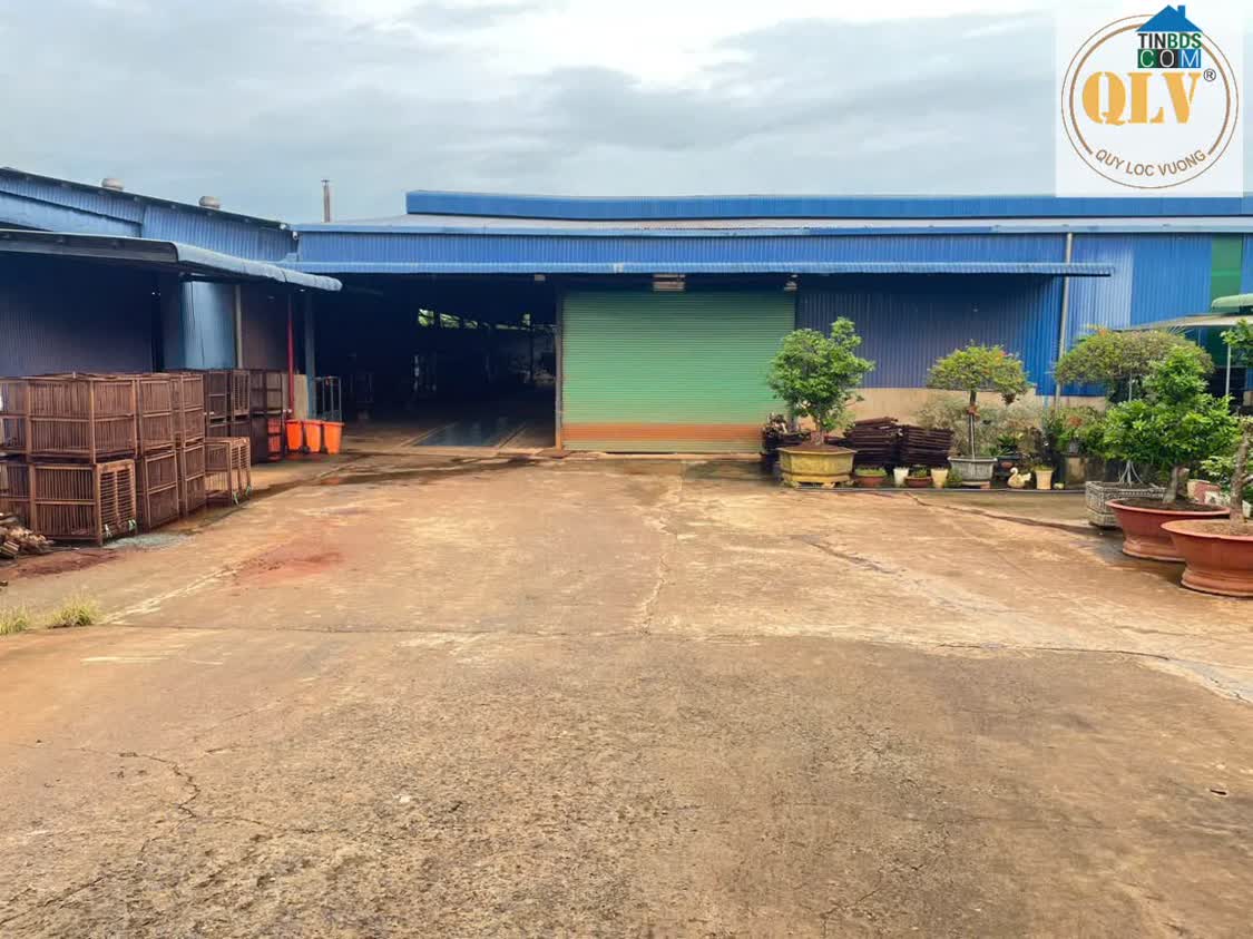 Ảnh Cho Thuê Nhà Xưởng Đồng Phú, BP - 10.000m² 0