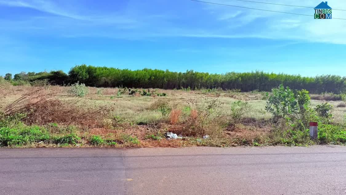 Ảnh BÁN 2 LÔ LIÊN KỀ NGAY HỒ SUỐI MÔN - XÃ ĐẤT ĐỎ - TP HCM, CHỈ 3,8 TỶ 1 LÔ. LH:0707607272. 0