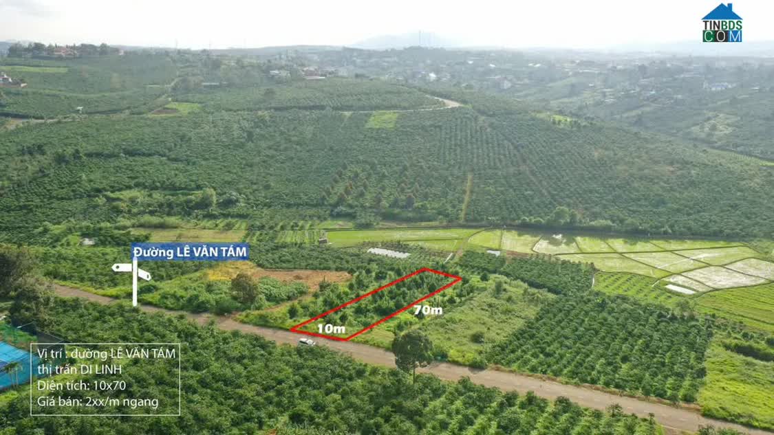 Ảnh Bán Đất Mặt Tiền Lê Văn Tám – Di Linh, Lâm Đồng - 700M2 Giá Chỉ 2 Tỷ 500 Triệu 0