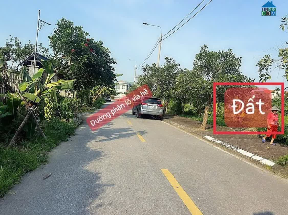 Ảnh Khai Xuân Bán Đất Đấu Giá Thọ Cách, Ý Yên, Nam Định - Ninh Bình Mới 0