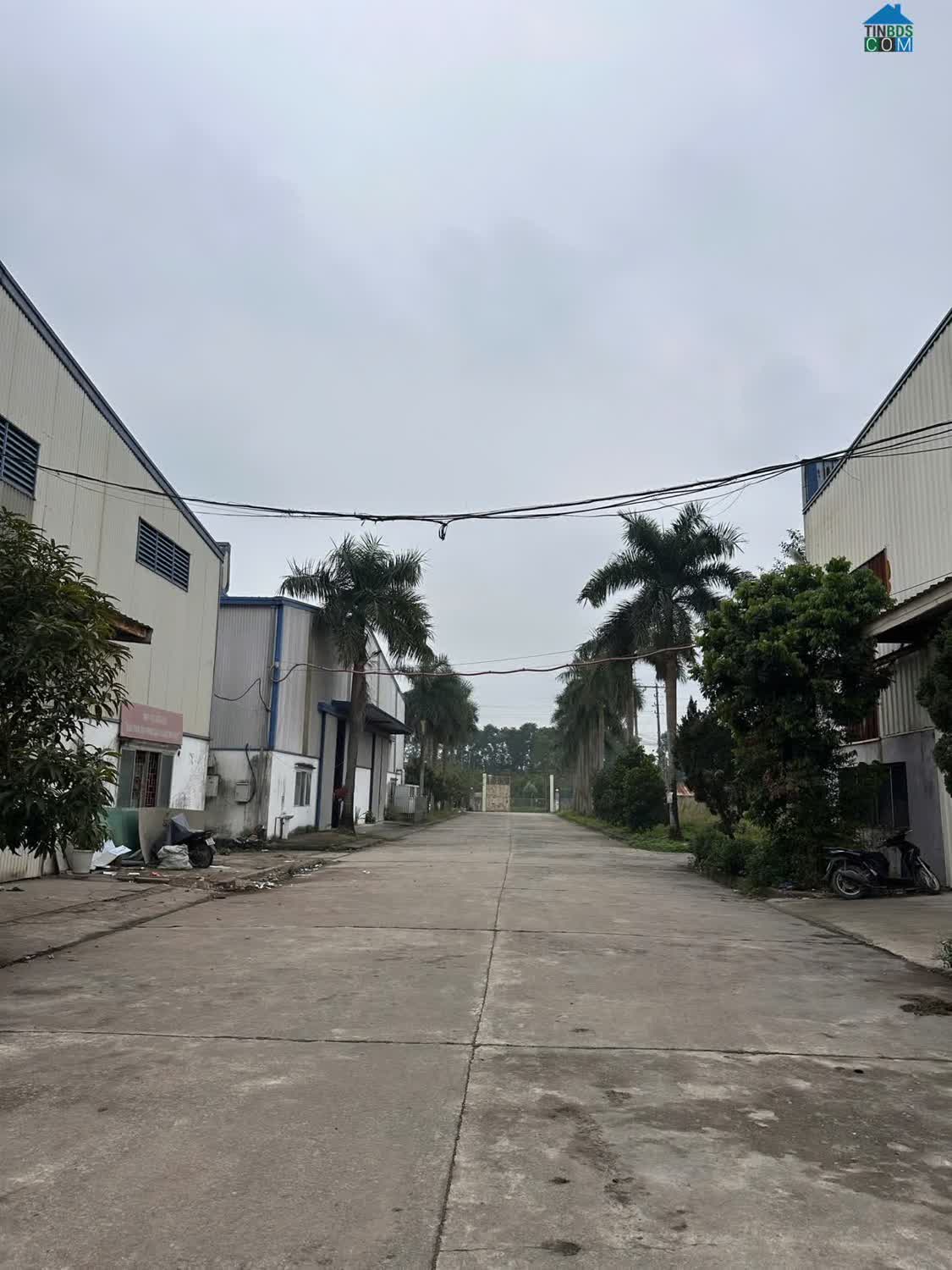 Ảnh Cho thuê kho xưởng tại Đan Phượng, Hà Nội 0