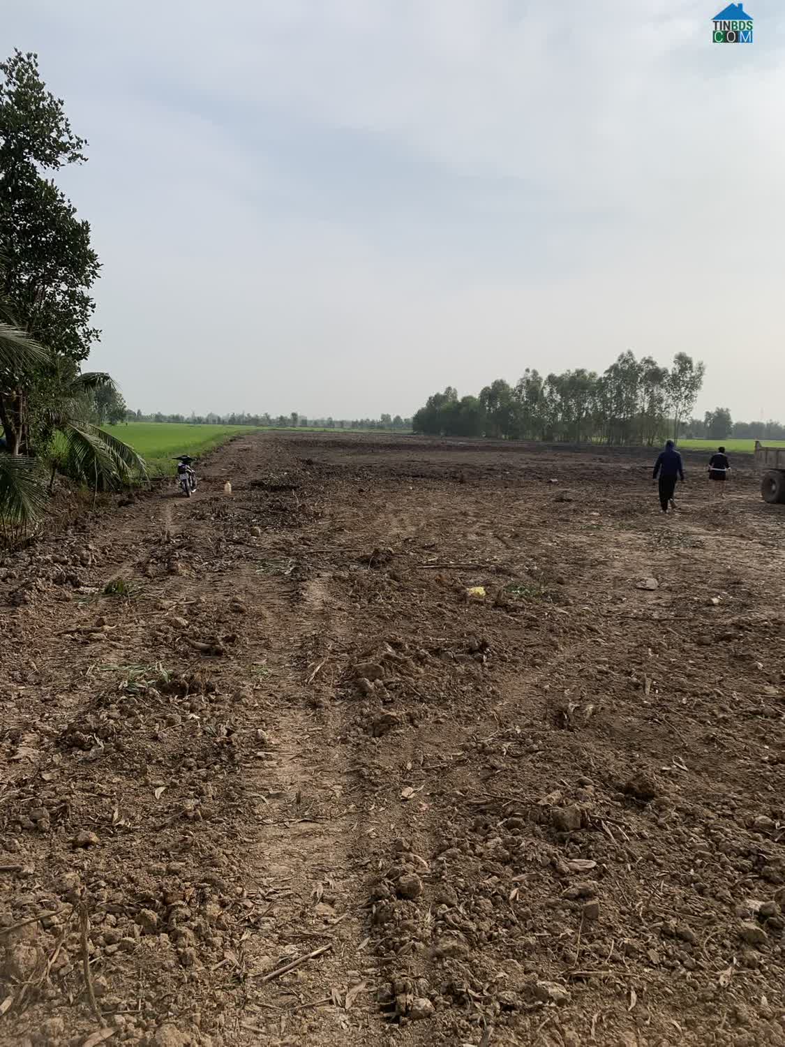 Ảnh Chỉ 100tr Sở Hữu ngay 1000m² ngang 21m tại chợ HỘI ĐÔNG Xã Đức Huệ 0