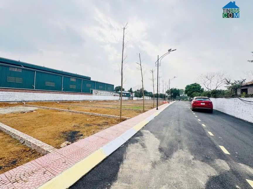 Ảnh Chính Chủ Bán Hơn Chục Lô Đất F0 Gần Cổng Số 8 Đhqg – Full Thổ Cư – Giá Tốt Đầu Tư - Sơn Tây, Hà Nội 0