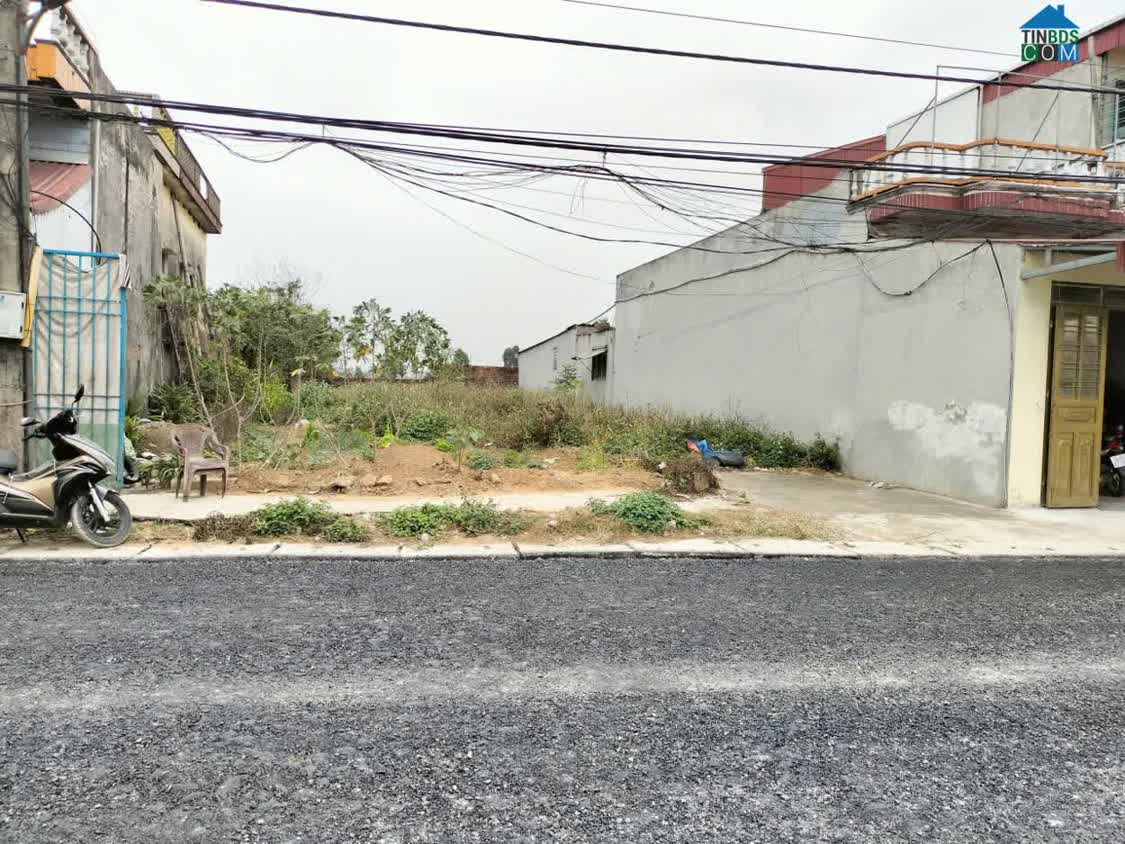 Ảnh Chính Chủ Bán Đất Chợ Giành, Thái Thuỵ, Thái Bình – Vị Trí Đẹp 0