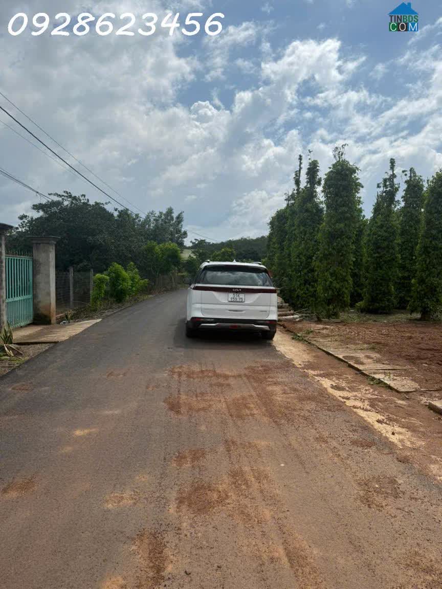 Ảnh Siêu phẩm đất mặt tiền đường nhựa Xã Hòa Hội, Bà Rịa Vũng Tàu, 1066 m2, giá đầu tư 0