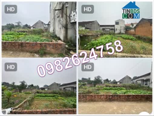 Ảnh Chính chủ cần bán nhanh 2 lô đất liền kề vị trí đẹp tại huyện Thạch Thất, Tp Hà Nội, 0982624758 0