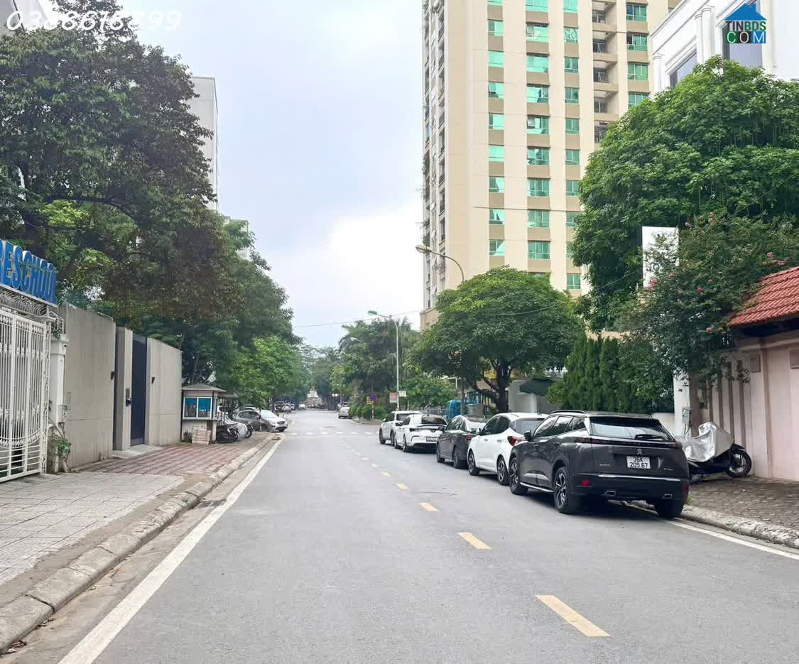 Ảnh Bán Biệt Thự Đơn Lập Siêu Vip Dịch Vọng 307mx5t, MT 15M - Kinh Doanh Tốt - Gần Công Viên Cầu... 0