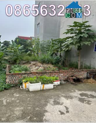 Ảnh Bán đất vị trí đẹp tại Đông Bình, Gia Bình, Bắc Ninh, 4.4tỷ. 0865632843 0
