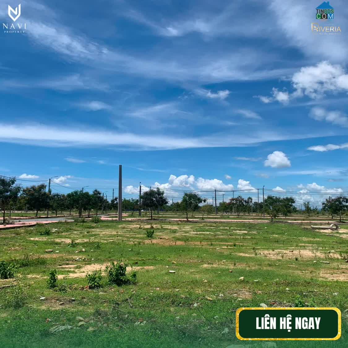 Ảnh Đất Đẹp Gần Phố Cổ Hội An – Mua Ở Hay Đầu Tư Đều Phù Hợp 2