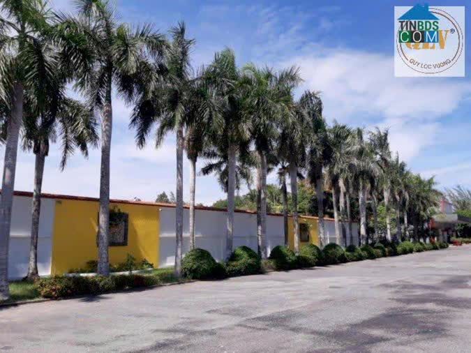 Ảnh Cho thuê nhà xưởng CCN Bình Chánh 60.000m² 0