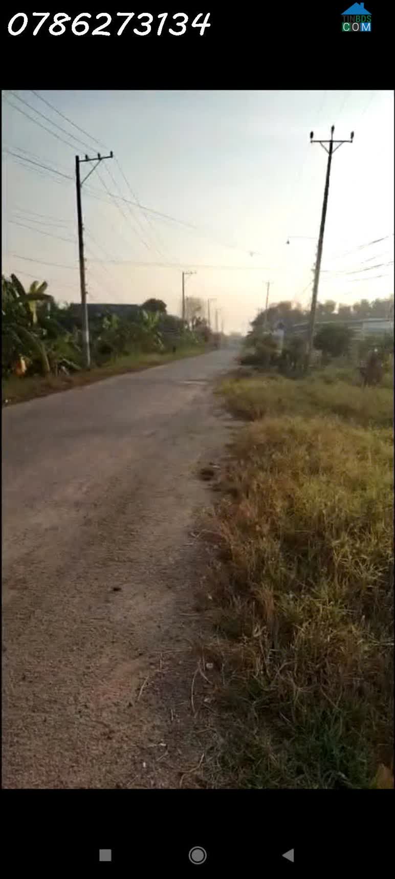 Ảnh BÁN ĐẤT MẶT TIỀN 30M – TỔNG 6.975m² – CÓ 975m² THỔ CƯ – ẤP 2, XÃ TÂN ĐÔNG, HUYỆN Thạnh Hóa 0