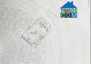 Ảnh đất 322 m² Hoàng Tiến, TP Chí Linh,xây nhà ở hoặc đầu tư 0