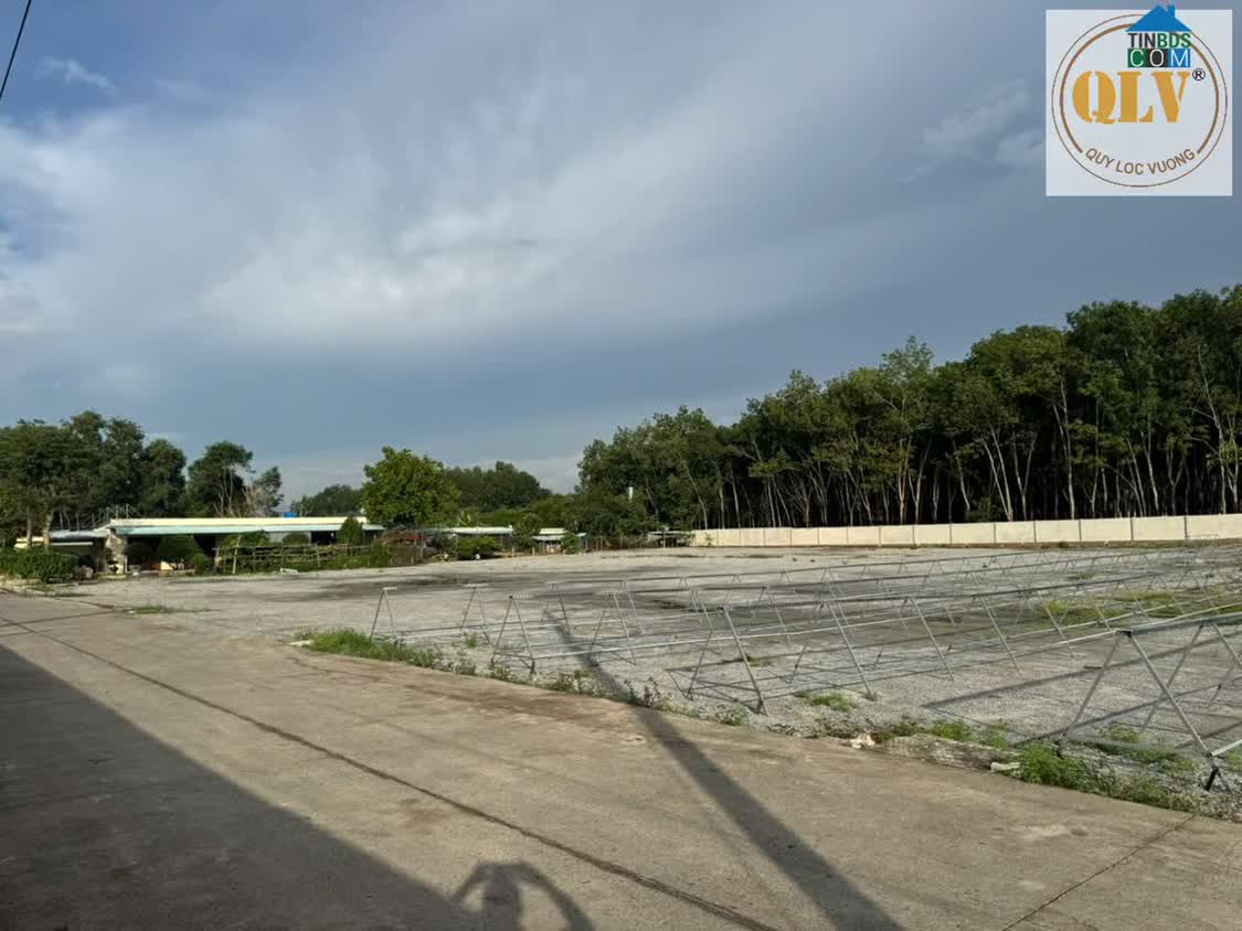 Ảnh Cho thuê nhà xưởng Phước Hòa, Phú Giáo, Bình Dương 10.000m² 0