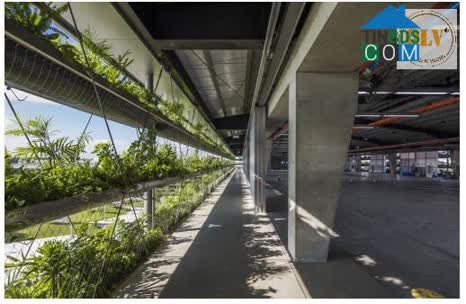 Ảnh Cho thuê nhà xưởng 3 tầng KCN Nhơn Trạch, Đồng Nai 18.144m² 0