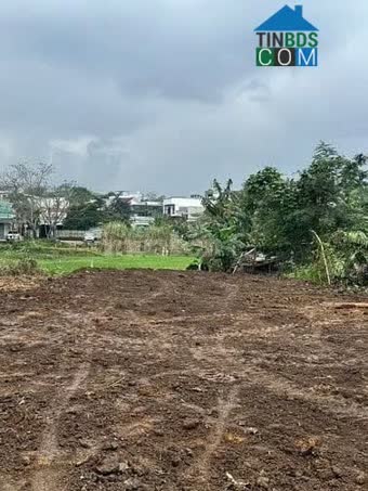Ảnh chính chủ Bán đất Hoà Thọ Tây 204 m2 (gần Tôn Đản nối dài) Hòa Thọ Tây, Cẩm Lệ, Đà Nẵng 0