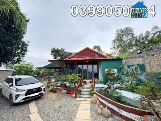 Ảnh Chính chủ cho thuê nhà vườn tâm huyết tại P.Bắc Nha Trang (Vĩnh Ngọc/Vĩnh Phương). 0399050994 0