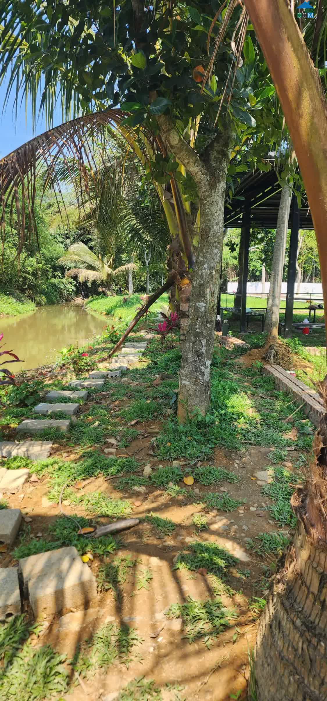 Ảnh Vì sao dân đầu tư Hà Nội dạo này hay lặng lẽ về Kim Bôi – Hòa Bình mà không ồn ào rao bán? 0