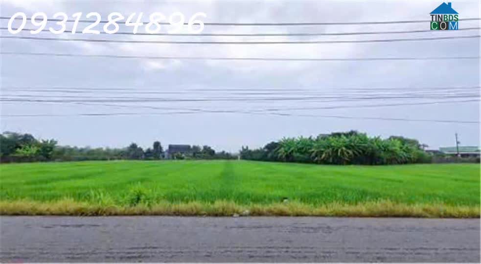 Ảnh Siêu phẩm - Bán đất mặt tiền đường DT 827B, Châu Thành, Long An, DT 4.000m2, giá đầu tư 0