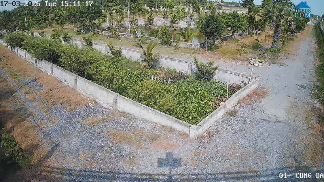 Ảnh Bán Nhà Vườn 12.000m2, Giá 31 Tỷ, Kênh 12, Xã Lê Minh Xuân Bình Chánh TPHCM 0