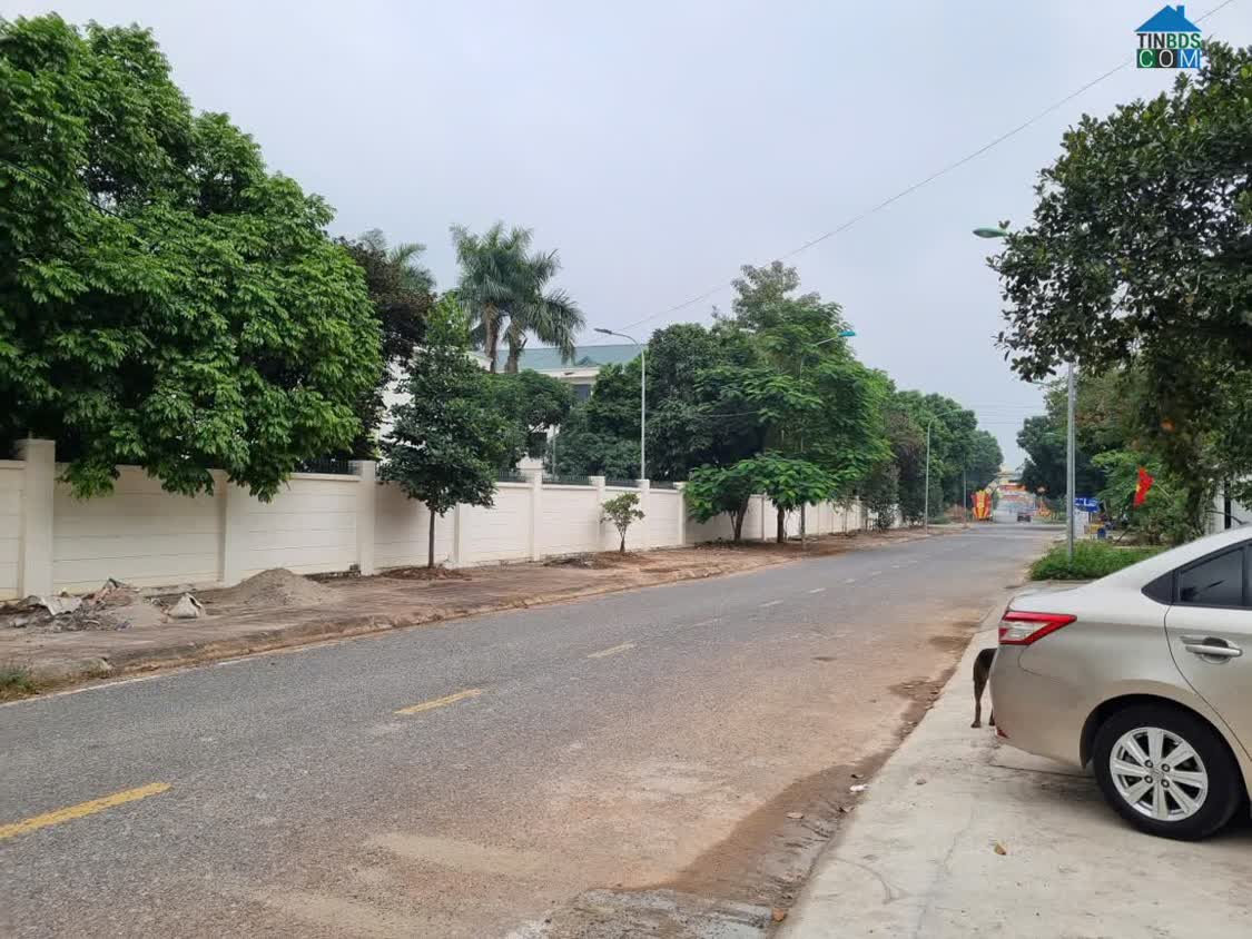 Ảnh Cho thuê mặt bằng tại Hợp Châu, Tam Đảo, Vĩnh Phúc. DT 350m2 giá chỉ 8 triệu/tháng 0