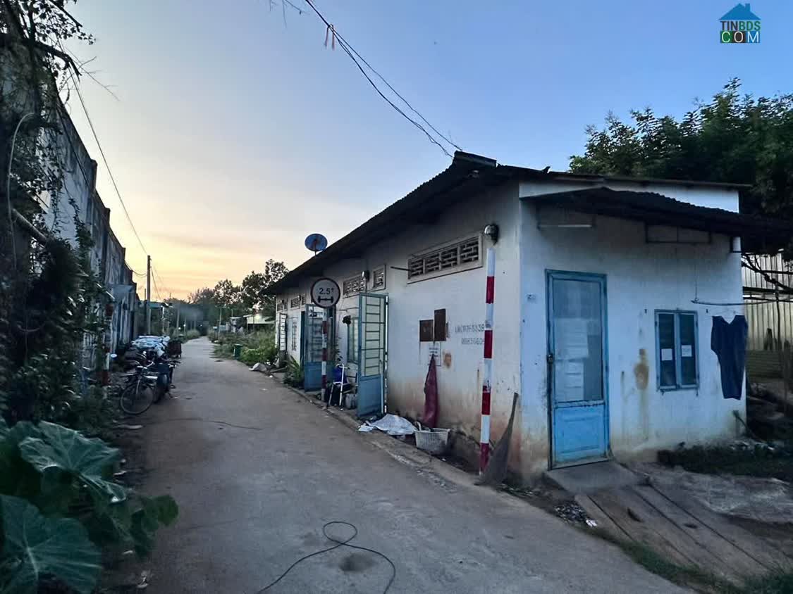 Ảnh Bán Dãy Trọ 5 Phòng Tại Tây Ninh, DT 199,8m2 SHR Chỉ 1.3tỷ. Lh:0931821989. 0