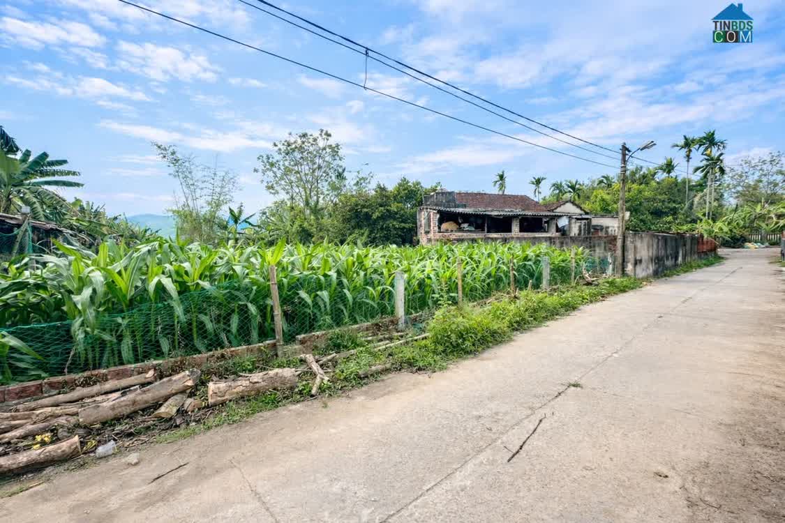 Ảnh CẶP ĐẤT LIỀN KỀ 180m² – FULL THỔ CƯ – GẦN QL – GIÁ CHỈ 1 TỶ 0x0 0