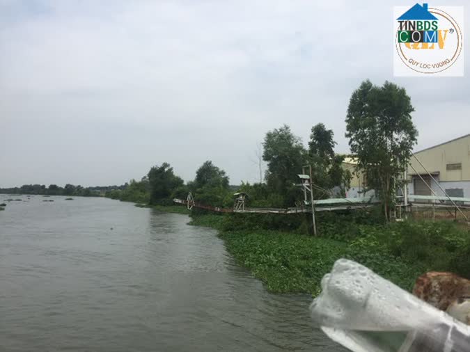 Ảnh Bán Đất Xây Dựng Nhà Xưởng – Gò Dầu, Tây Ninh – 36.176m² 0