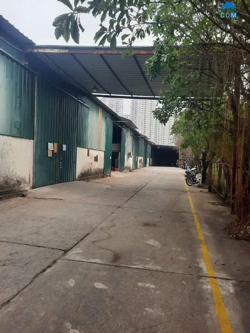 Ảnh Cho Thuê Kho Xưởng – Đường Tân Mỹ, Gần Sân Golf Phương Đông 0