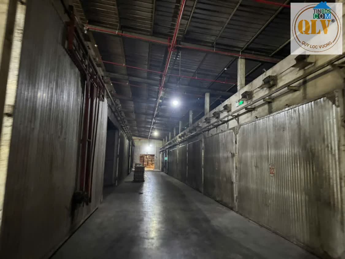 Ảnh Cho thuê xưởng gỗ Phú Giáo, Bình Dương 10.000m² 0