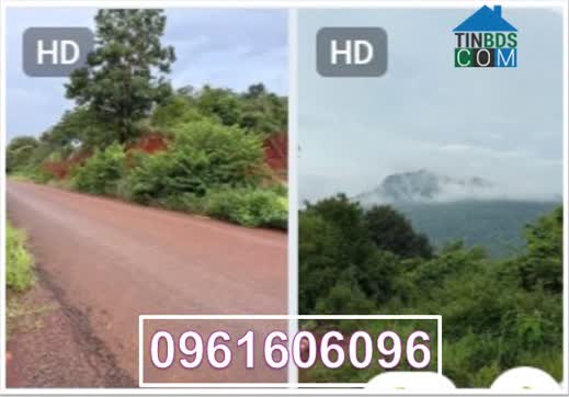 Ảnh Cần bán đất view hồ - view núi - view săn mây siêu đẹp tại Phước Bình, Đồng Nai, 0961606096 0