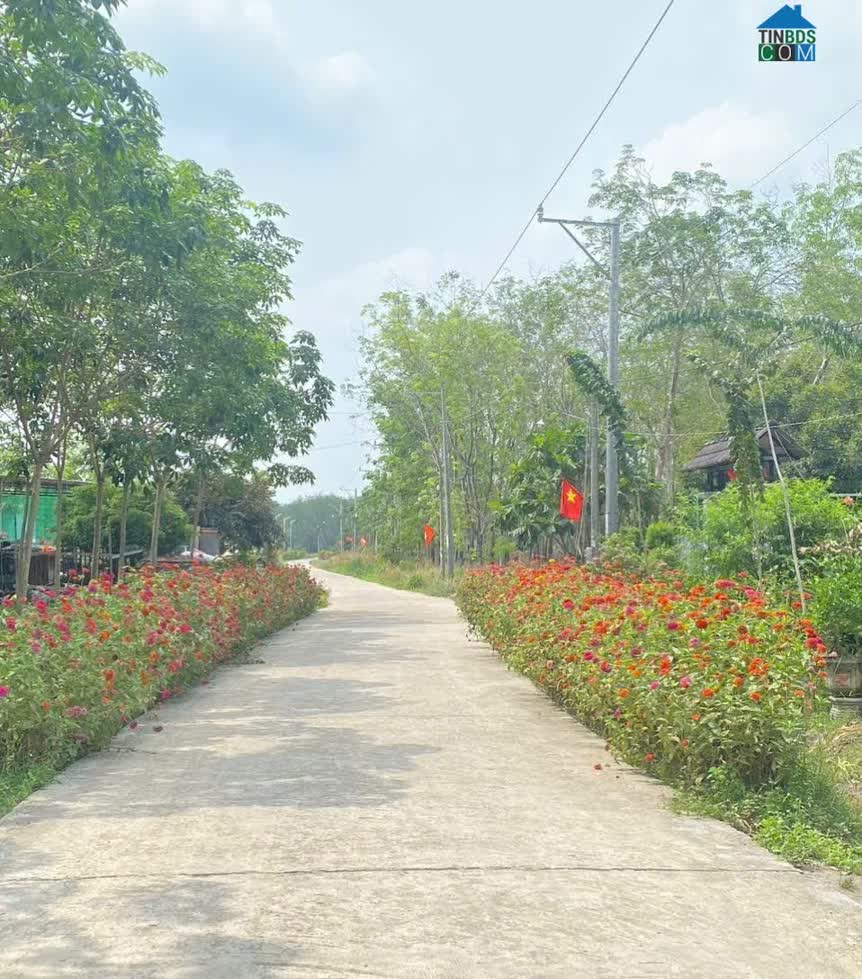 Ảnh Cần bán lô đất ngay KCN Minh Hưng 3 Chơn Thành 0