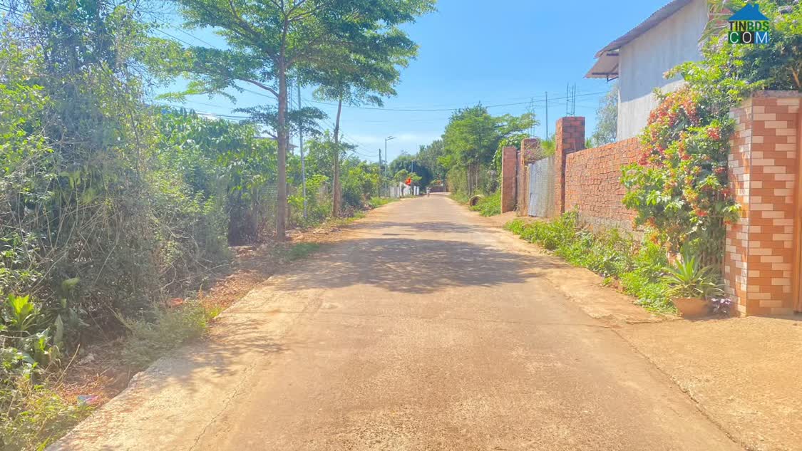 Ảnh Đất hẻm DH1, n'thôn hạ cũ, tân hội đức trọng, lâm đồng 0