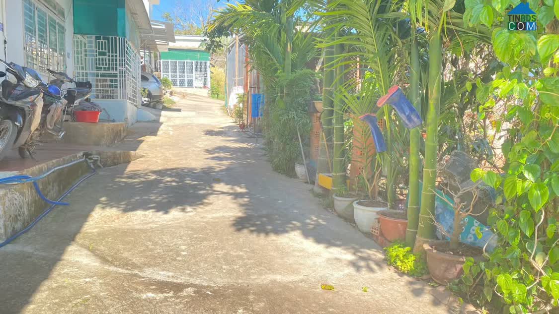 Ảnh Đất phân lô trung tâm đức trọng, lâm đồng giá rẻ 790 triệu 0