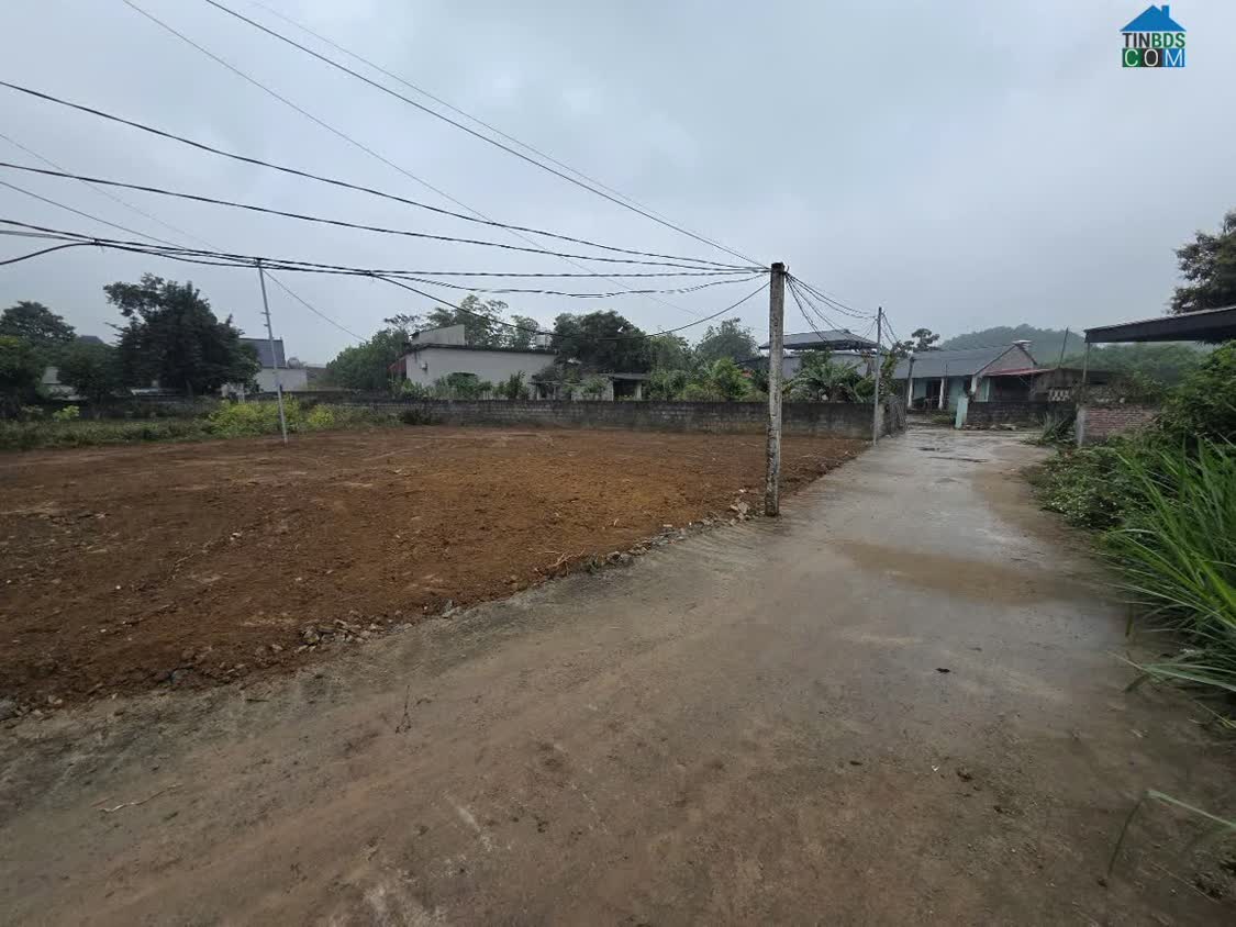 Ảnh Hơn 300 Triệu – Sở Hữu Ngay Đất Sổ Riêng Trung Tâm Ba Hàng Đồi 0