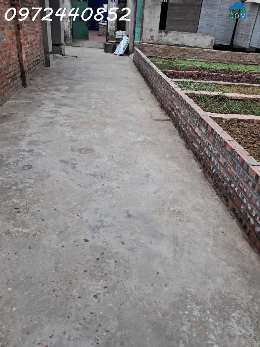 Ảnh Chính chủ cần tiên bán nhanh lô đất 171m2 tại Phụng Thượng, Phúc Thọ, dân cư đông đúc 0