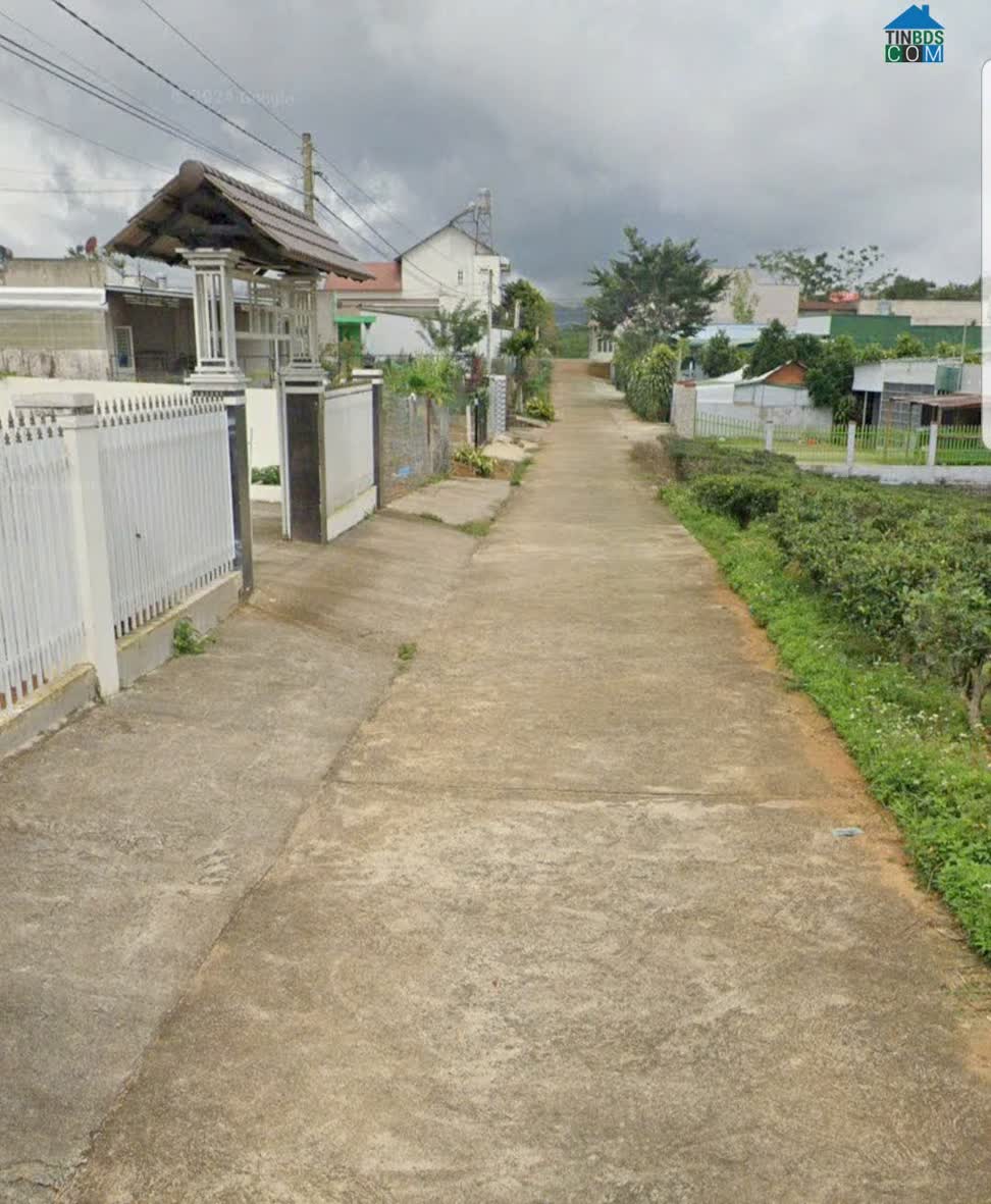 Ảnh 1.200m2 sẵn 400m2 thổ cư - hẻm lê phụng hiểu, lộc châu, bảo lộc 0