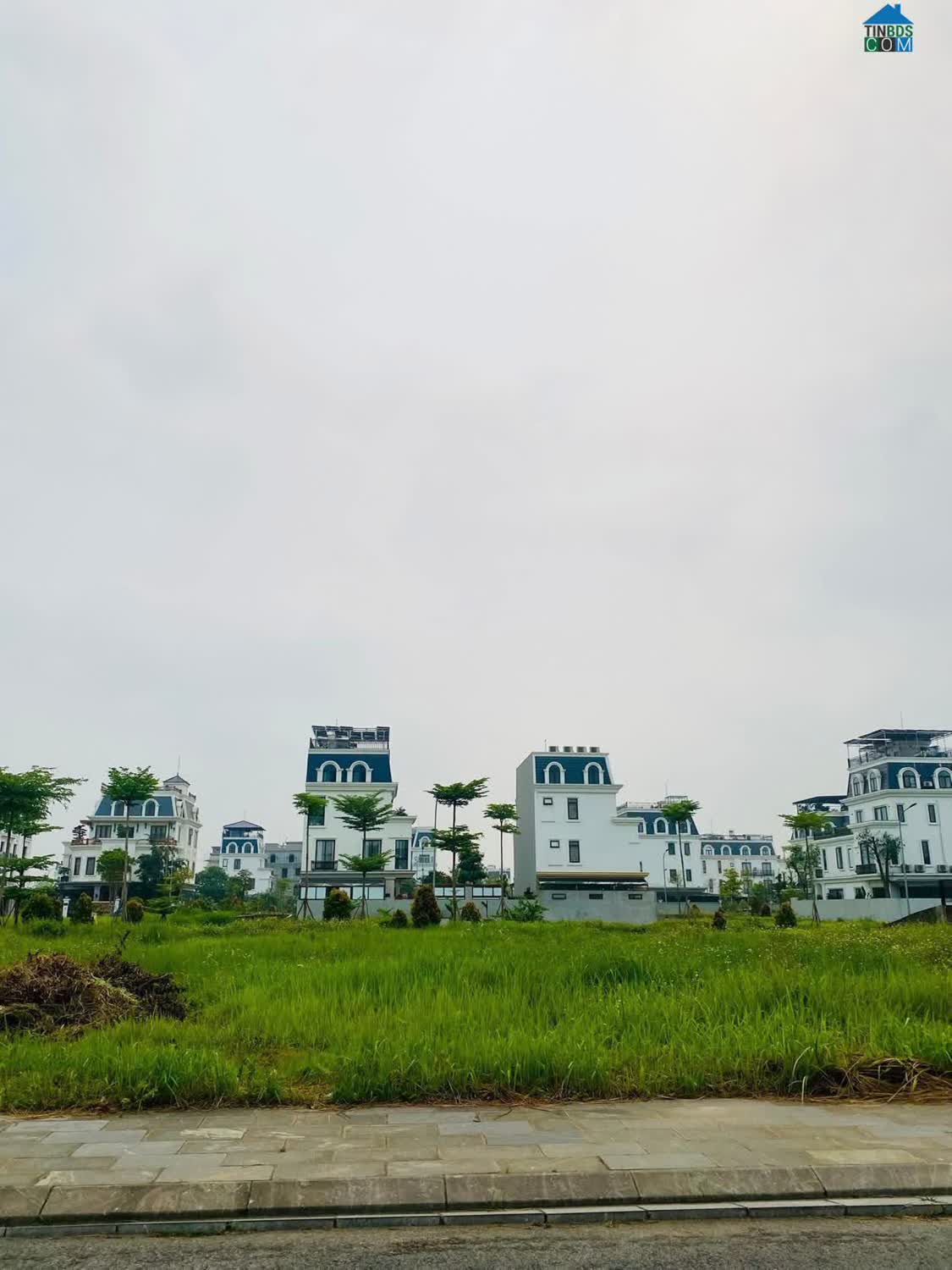 Ảnh Bán đất biệt thự khu Bắc Đầm Vạc, Vĩnh yên, Vĩnh Phúc. LH: 098.991.6263 0