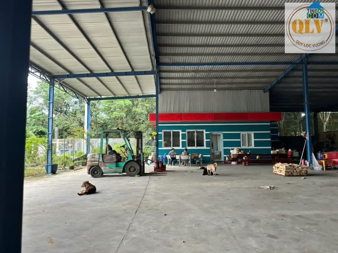 Ảnh Cho thuê ĐẤT & NHÀ XƯỞNG – Hớn Quản, Bình Phước – 5.000m² 0