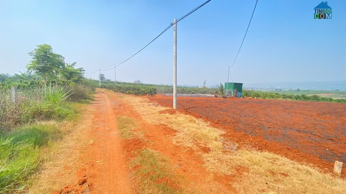 Ảnh 3,6 sào hẻm dh1, tân hội, đức trọng cũ, lâm đồng 0