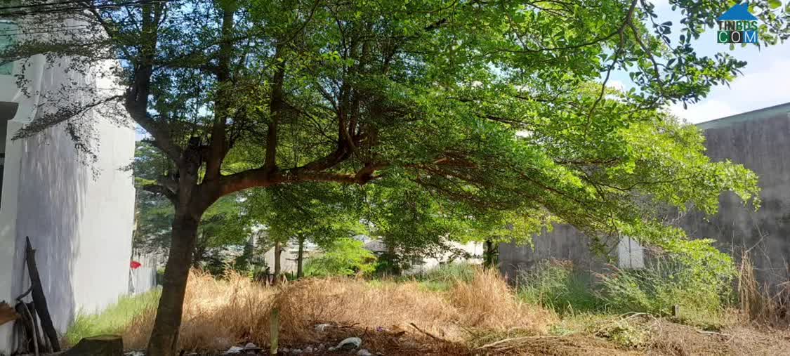 Ảnh Bánn Nhanh Lô Đất Thổ 130M2 Rạch Kiền - Tây Ninh, 2 Tỷ 800 Triệu, SHR 0