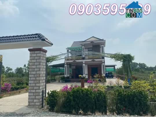 Ảnh Chính chủ bán nhà đất tại Ấp 3 (Tân Thành, Thủ Thừa, Long An). Nay là xã Mỹ Thạnh, Tây Ninh,... 0