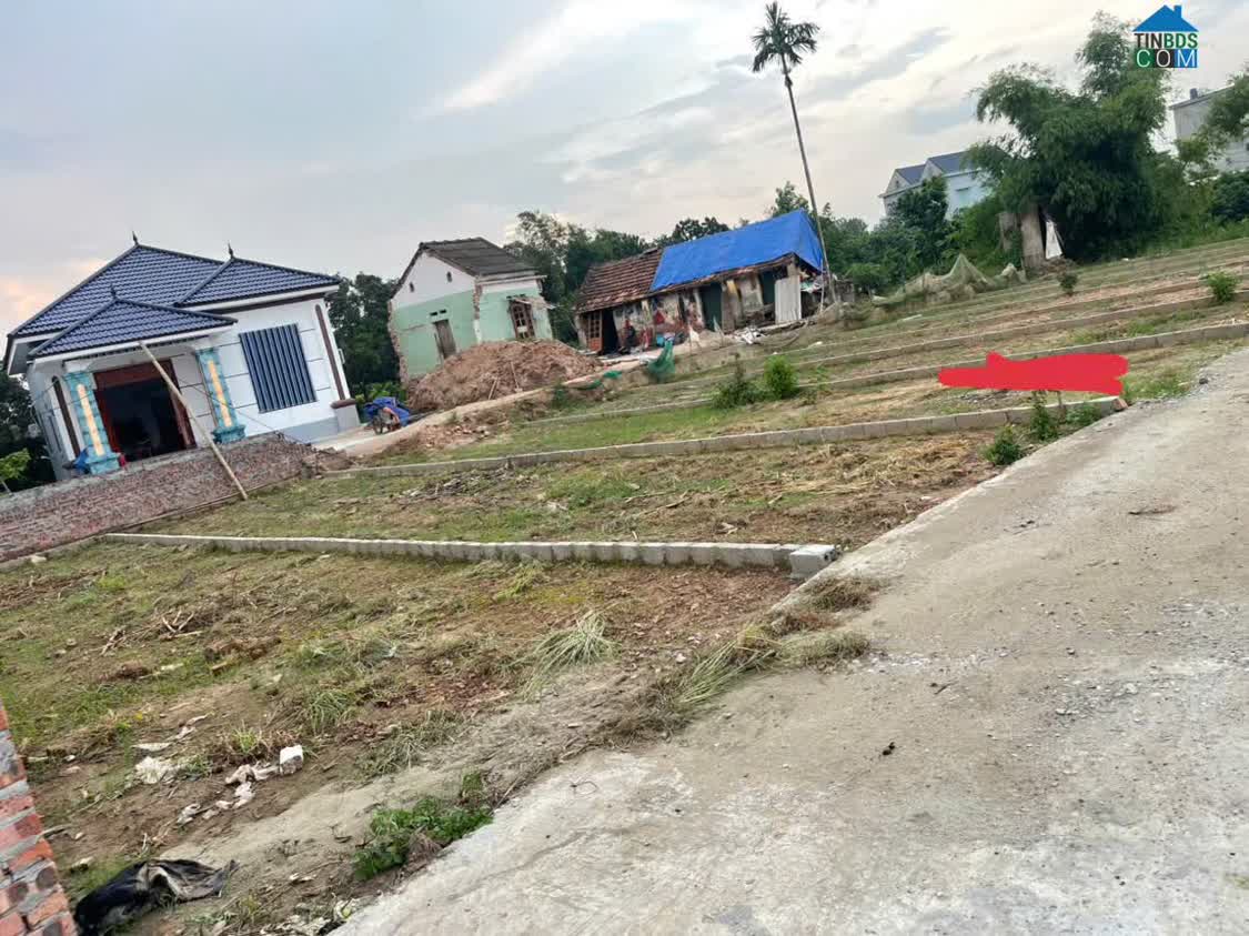 Ảnh Bán đất phân lô đẹp 63m2 nở hậu đường hơn 5m giá chỉ 800tr tại xã Tam Đa, Phù Cừ, Hưng Yên 0