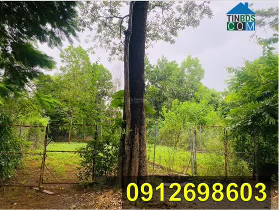 Ảnh Chính chủ bán 116m đất Hòa Lạc, Quốc Oai ngã 3, sát đường to xe bus, gần Metro 5 vừa khởi công... 0