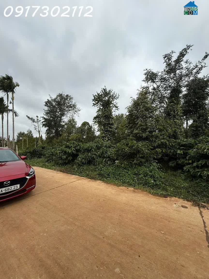 Ảnh Em cần bán 10x40 ( 60m thổ cư) Xã Ea Knuếc, Đắk Lắk 0