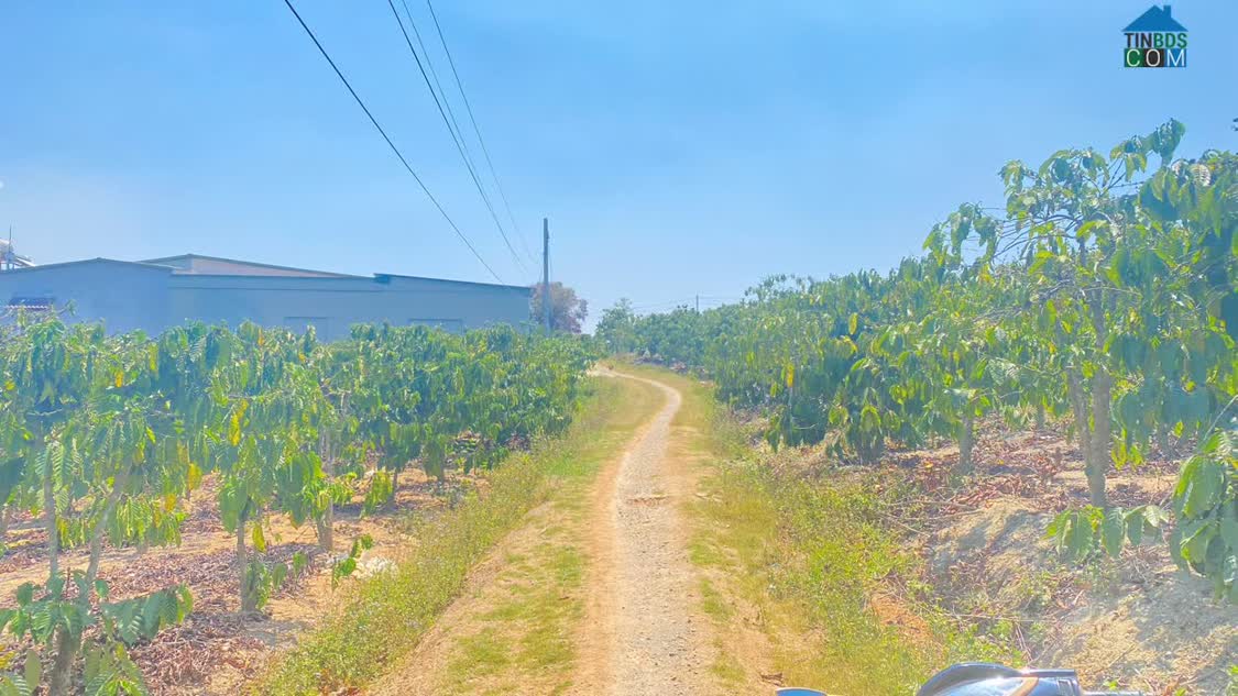 Ảnh 1,7 sào hẻm ql27, cây số 5, n'thôn cũ, đức trọng, lâm đồng 0