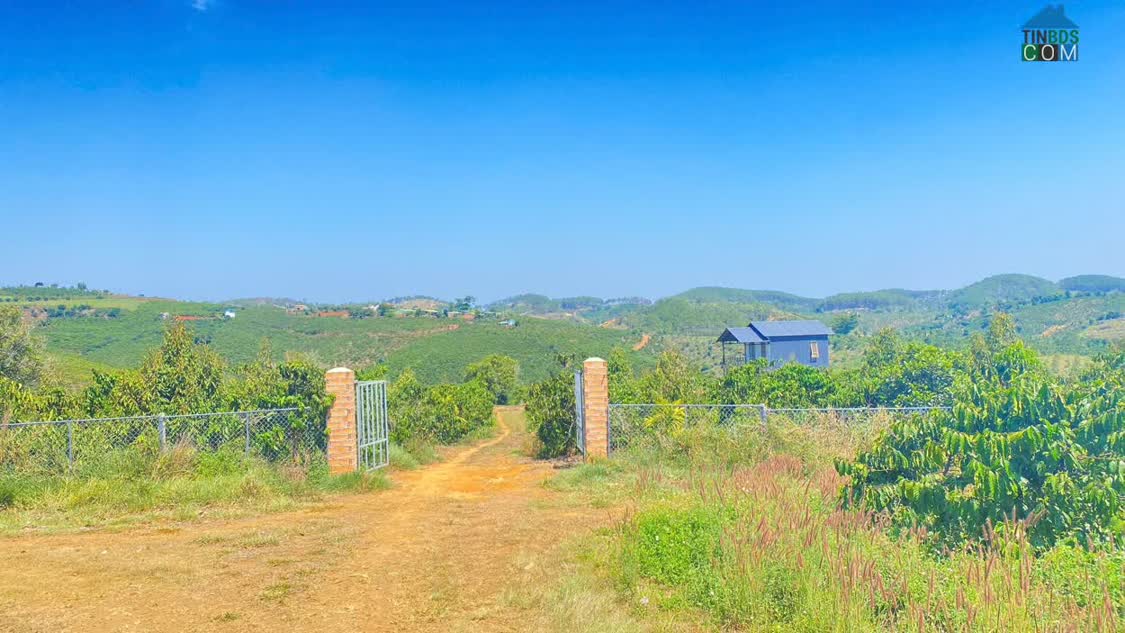 Ảnh Đất hẻm ql28B, ninh gia, đức trọng cũ, lâm đồng 3,7 héc ta ( 37.000m2 ) 0