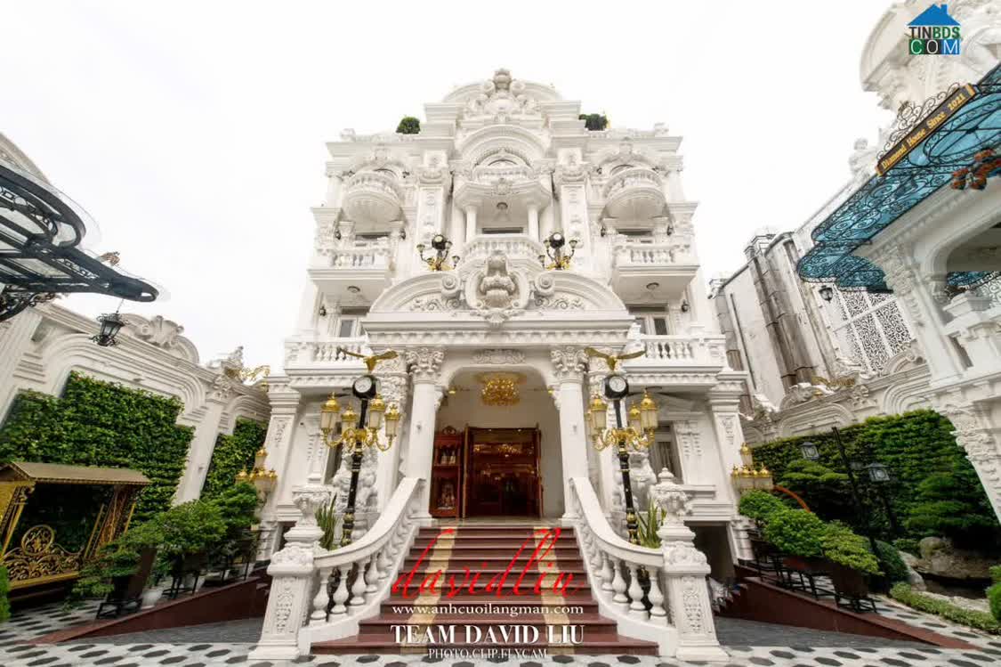 Ảnh Chính chủ cần bán gấp Dinh thự 1200m2 1 hầm 5 lầu thang máy, 300ty 0