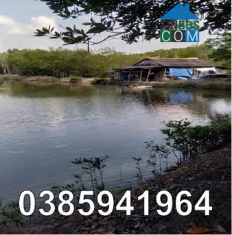 Ảnh Bán 61 mẫu đầm nuôi tôm tại xã Thạnh An (Cần Giờ), TP.HCM, 0385941964 0